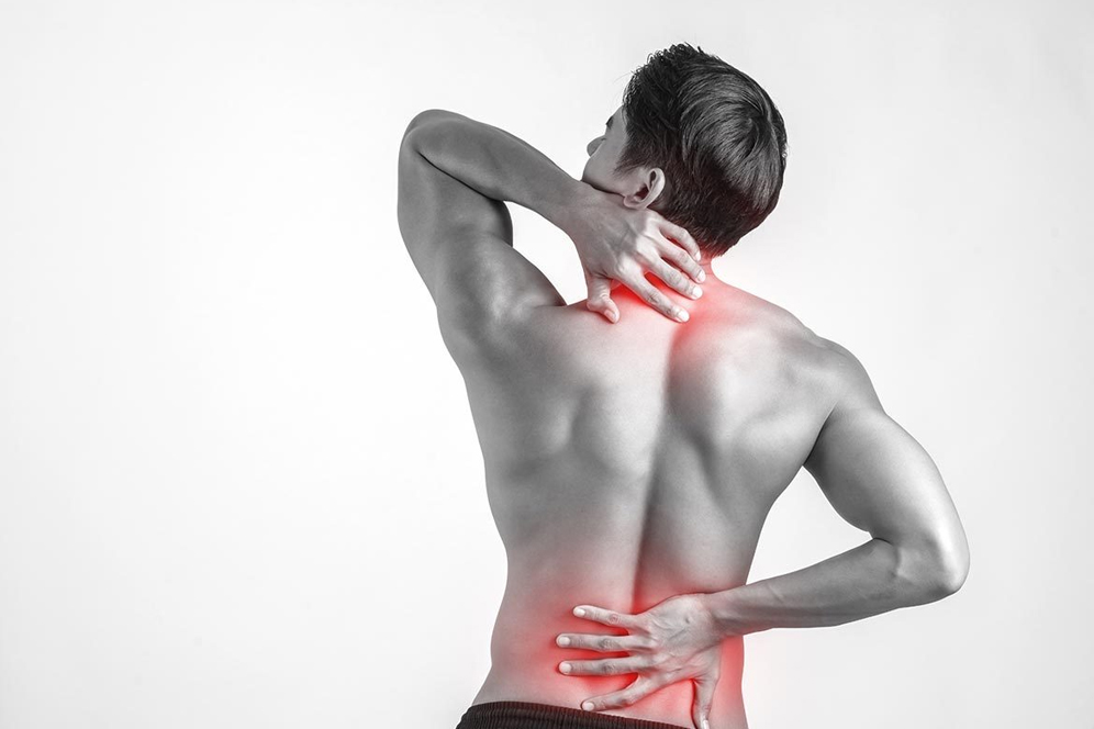 Musculoskeletal Pain Rehabilitation